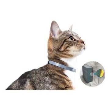 Seresto Collar Gatos