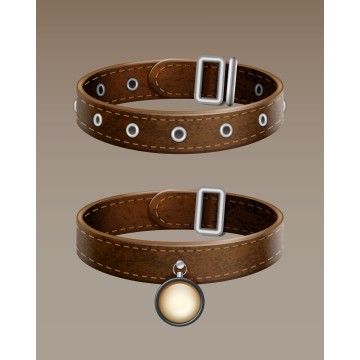 Collar de perro