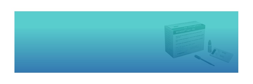 Test de diagnóstico